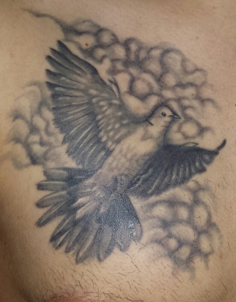 Gast: Hilfe Verbesserung oder doch cover